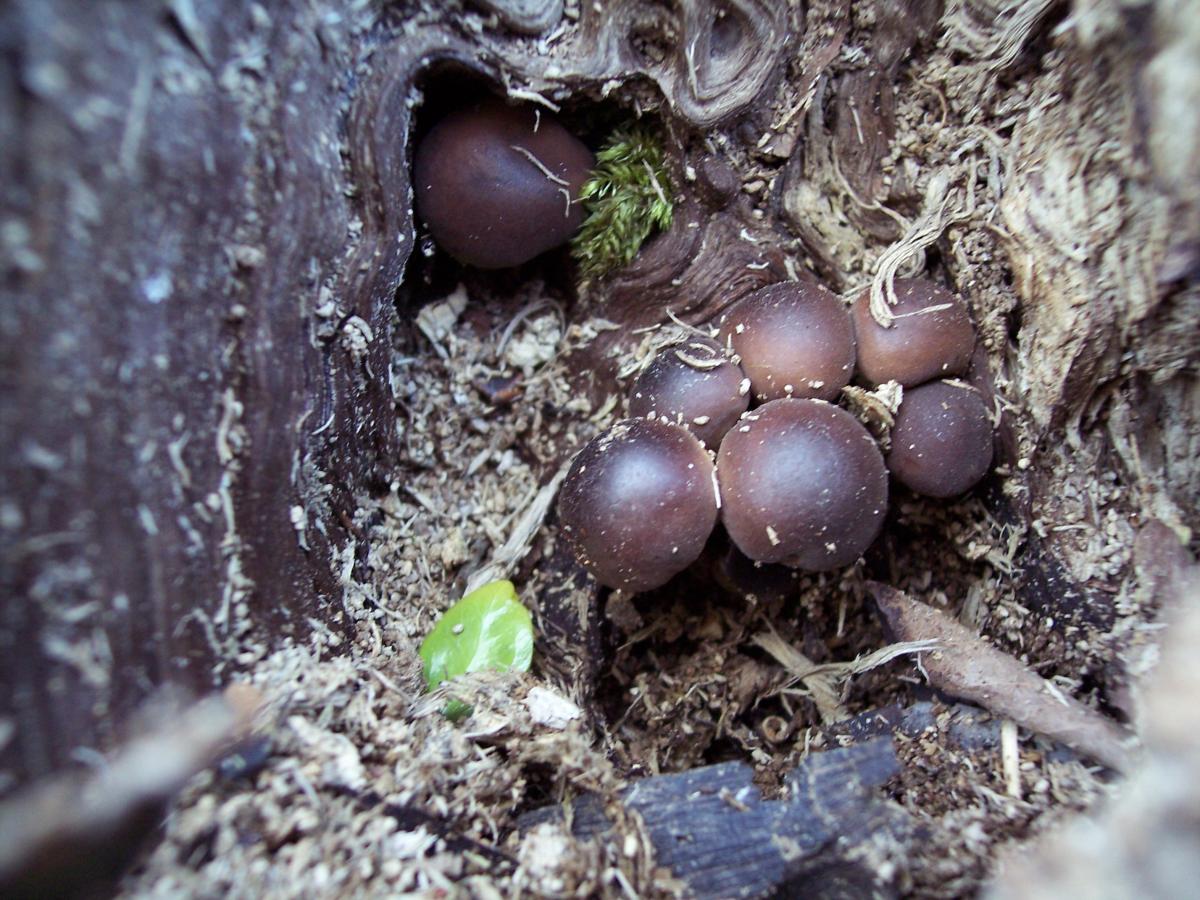 A 1000 metri dopo l''acqua